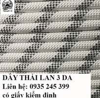 2 Dây đu tường lăn vách nhà