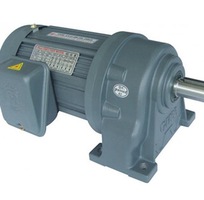 Motor giảm tốc Wansin