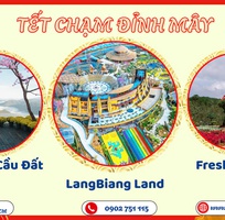 1 Tour du lịch Tết Đà Lạt 3n3đ - SGC Tourist