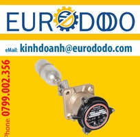 Pressure Switch RS215FXX02F000BJD Delta Mobrey - Delta Mobrey Vietnam - Giá cạnh tranh