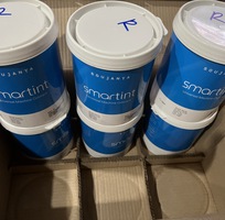 8 Cung Cấp Tinh Màu Colortrend, Kova, Jotun, CCA, Tinting, Smartint Cho Máy Pha Màu Sơn