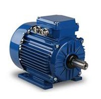 Động cơ điện Elektrim