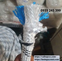 8 Dây dù đu tường sơn nước