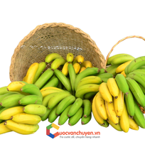 Thủ tục xuất khẩu chuối tươi