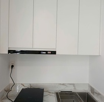 2 Combo Chậu   Bếp   Hút Cho Căn Hộ Mini