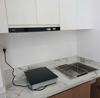 1 Combo Chậu   Bếp   Hút Cho Căn Hộ Mini