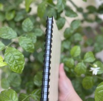 8 Bạn Cần Tìm Bìa Gỗ, Sổ Gỗ   Hãy Alo LASER NAM VIỆT Giá Rẻ