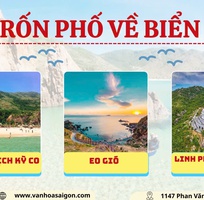 1 Quy Nhơn Phú Yên 3N3D - 2026