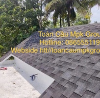 4 Ngói Thép Ép Đa