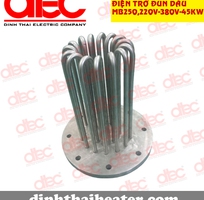 14 Điện trở đốt nóng Đình Thái