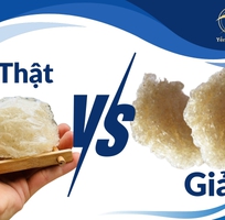 Cách phân biệt yến thô thật và giả đơn giản