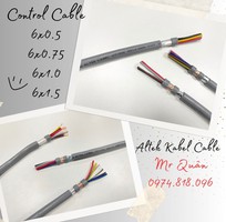 4 Cáp điện 6 lõi Altek Kabel, CT-500 SH-500