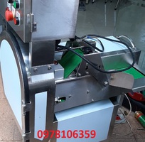 1 Máy thái hành lá, máy thái lá dứa, máy thái rau, máy thái lát sả cây công nghiệp