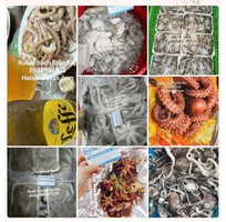 Bạch tuộc tươi ngon giá tốt