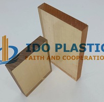 2 Giới Thiệu Về Nhựa PSU