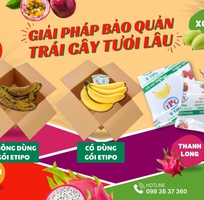 Gói hút khí Ethylene giúp kéo dài thời gian bảo quản trái cây xuất khẩu
