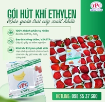 1 Gói hút khí Ethylene giúp kéo dài thời gian bảo quản trái cây xuất khẩu