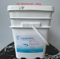 Men vi sinh Laquatic, men tiêu hóa hàng nhập khẩu Mỹ cho tôm cá