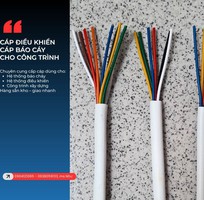 1 Cáp tín hiệu cho hệ thống điện công nghiệp