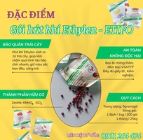 Cách giúp trái cây chậm chín, giúp hỗ trợ xuất khẩu đi xa