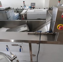 Máy rửa rau sục khí, máy rửa hoa quả trái cây, máy rửa băng tải dài
