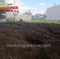 Cung Cấp Đất Màu Trồng Cây Chất Lượng Tại Đồng Nai, TP. HCM