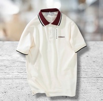 Áo Polo Dormax: Đẳng Cấp Từ Sự Tối Giản