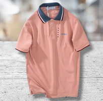 1 Áo Polo Dormax: Đẳng Cấp Từ Sự Tối Giản