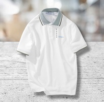 3 Áo Polo Dormax: Đẳng Cấp Từ Sự Tối Giản