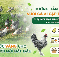 2 Cẩm Nang Kỹ Thuật Nuôi gà Ai Cập Thả Vườn Đạt Chuẩn Sinh Thái Cho Người Mới