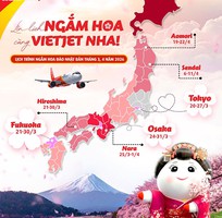 Lịch nở hoa anh đào Nhật Bản 2026   Gợi ý hành trình bay cùng Vietjet