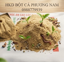 Bột cá   giải pháp tối ưu cho sản xuất phân bón hữu cơ