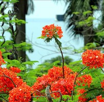 Lắp mạng ineternet - miễn phí công lắp đặt - tặng thêm 4 tháng