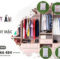 1 Gói hút ẩm cho giày da