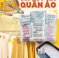 6 Gói hút ẩm cho giày da