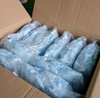 3 Hạt hút ẩm TPC Silica gel