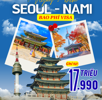 2 Du lịch Hàn Quốc: Khám phá Seoul   Đảo Nami   Everland đẹp mê ly 2026