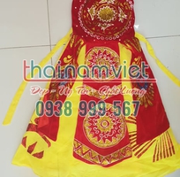 5 Bán váy múa trẻ em tại tphcm