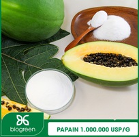 Cung Cấp Enzyme Papain Giá Tốt, Hoạt Lực Cao