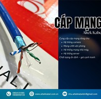 1 Cáp mạng LAN cho hệ thống camera và internet