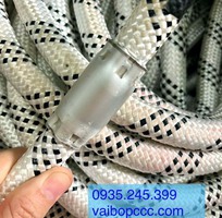 1 Dây đu sơn nước giấy đăng kiểm