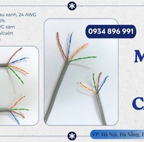 2 Cáp Mạng UTP Cat5e Không Chống Nhiễu 24AWG   Có Sẵn Đà Nẵng, Hà Nội, TP.HCM
