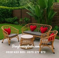 2 Bàn ghế sofa mây nhựa