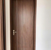 Cửa gỗ công nghiệp MDF