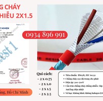 2 Cáp Chống Cháy Chống Nhiễu 2 Lõi   Phân Phối TP.HCM, Bình Dương, Đồng Nai   Hàng Luôn Có Sẵn