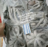 SẴn bạch tuộc tươi ngon giá tốt