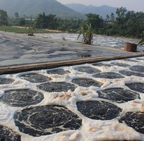 Cung cấp bùn vi sinh toàn quốc
