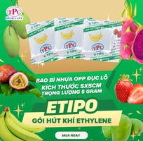 Cách nào để giúp hãm độ chín, giữ trái cây tươi lâu