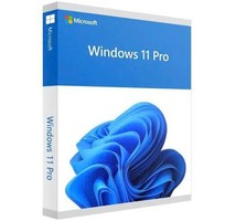 Phần mềm Windows Pro 11 64Bit Eng Intl 1pk DSP OEI DVD  FQC-10528
