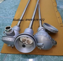 Dò nhiệt củ hành loại K